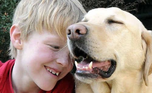 Jordan Schuh and his autism-assistance dog Axle will be heading to school together next term. Jordan Schuh and his autism-assistance dog Axle will be heading to school together next term.